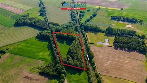 Działka leśna na sprzedaż Głomsk 18 000m2 Foto 6