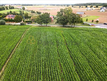 Działka budowlana 780 m² pod dom z mediami w Gronówku działka Gronówko