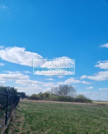 Działka 1500 m² z potencjałem inwestycyjnym i prywatnością działka Książenice