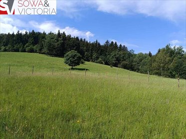 działka na sprzedaż 3000m2 działka Walim