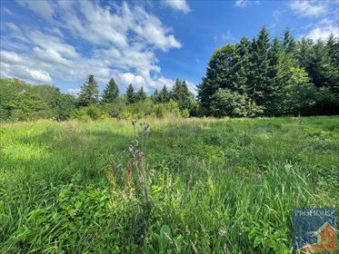 Zapraszam do zakupu działki 4300 m² w Kostrzy działka Kostrza