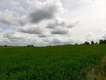 Działka rolna na sprzedaż Szczepanki 91 700m2 Foto 6