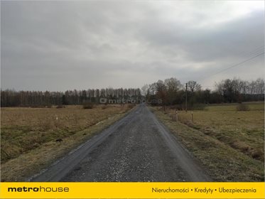 Działka rolna na sprzedaż Chrząstawa, Widawa 23 994m2 Foto 4