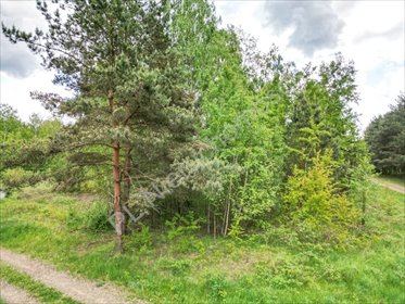 działka na sprzedaż 2345m2 działka Makówka