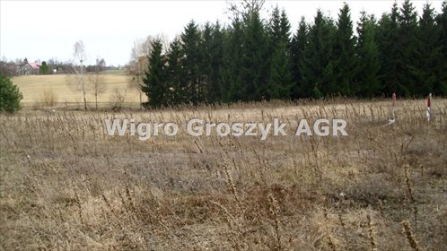 Działka inna na sprzedaż Korfowe 3 750m2 Foto 3