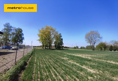 działka na sprzedaż 4090m2 działka Gogołowa, Jastrzębska