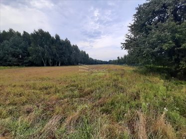 Działka rolna na sprzedaż Żurawieniec 22 500m2 Foto 4