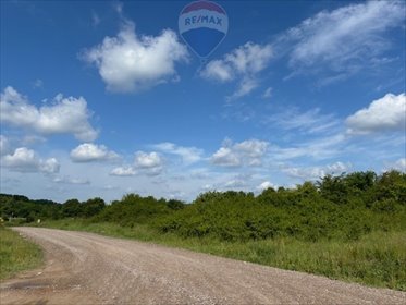 działka na sprzedaż 3178m2 działka Czapielsk, Stokrotki