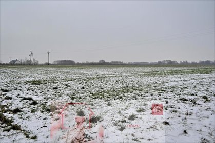 działka na sprzedaż 7500m2 działka Ludwin