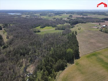 Działka rolno-leśna nad rzeką Czerwonka 23 ha, las olchowy działka Kotowina