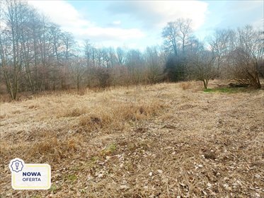 Działka budowlana na sprzedaż Milanówek 9 150m2 Foto 1