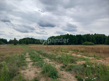 działka na sprzedaż 750m2 działka Puszcza Miejska