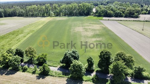 Zapraszam do zakupu działki 5737 m² pod inwestycję w Rawiczu działka Rawicz