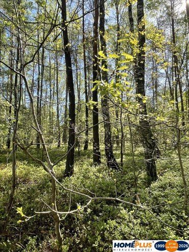 Działka budowlana 1397 m² w Ciemnem – idealna pod dom! działka Ciemne