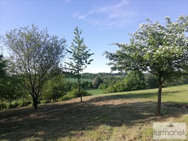 Działka rekreacyjna na sprzedaż Radzięcin 2 328m2 Foto 4
