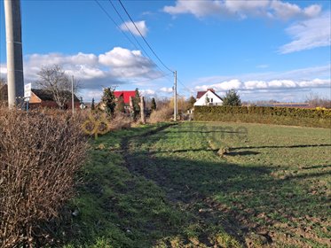 Działka budowlana 1265 m² z warunkami zabudowy polecam działka Kurów Wielki