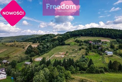 Działka rekreacyjna na sprzedaż Huta Brzuska 6 700m2 Foto 2