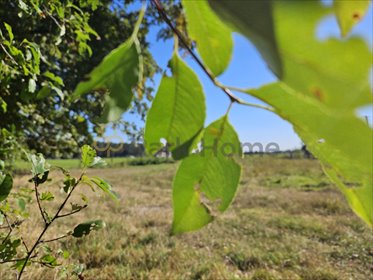 działka na sprzedaż 1000m2 działka Betkowo