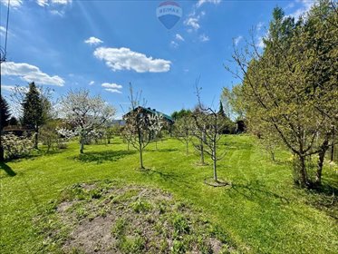 Działka z oczkiem wodnym i zielenią, Rybnik, 800 m² działka Rybnik, Zygmunta Starego