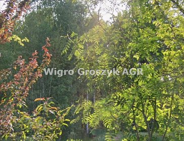 Zapraszam do zakupu działki 5294 m² w Kaliszkach działka Kaliszki