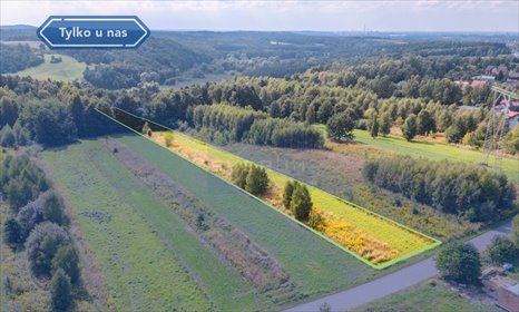 działka na sprzedaż 3650m2 działka Jaskrów, Jurajska