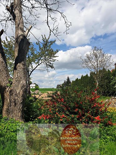 działka na sprzedaż 4000m2 działka Lublin, Szerokie