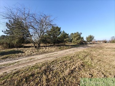 Do sprzedania działka pod osiedle domów jednorodzinnych 16 562 m² działka Stepnica