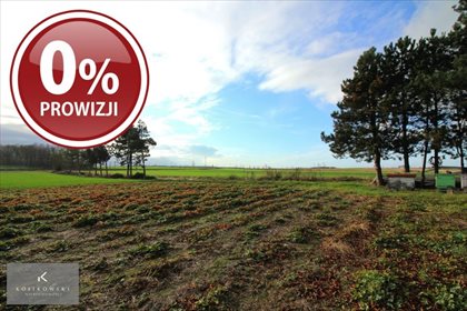 Działka inna na sprzedaż Kamienna 1 185m2 Foto 1