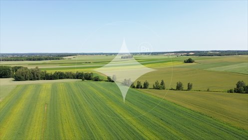 działka na sprzedaż 10000m2 działka Parzyce