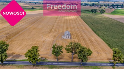 Magazyn na wynajem Panigródz 1 850m2 Foto 5