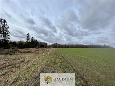 Sprzedam działkę 3015 m² w Więckowym - spokój i szybki dojazd działka Więckowy