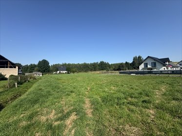 działka na sprzedaż 1334m2 działka Kudowa-Zdrój, Słone