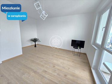 mieszkanie na wynajem 32m2 mieszkanie Bydgoszcz, Fordon, Franciszka Witeckiego