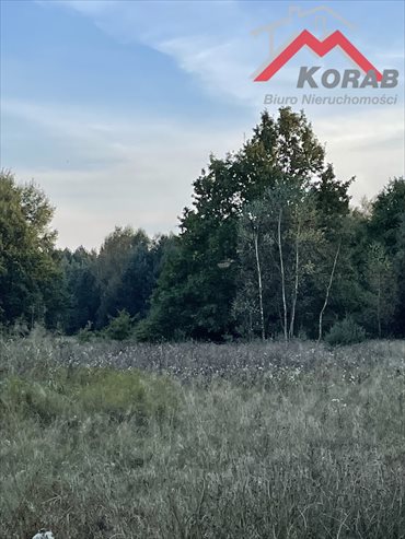 działka na sprzedaż 3128m2 działka Sowia Wola