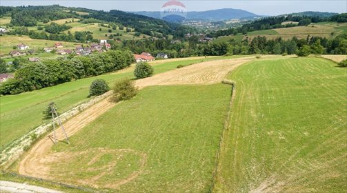 Działka budowlana na sprzedaż Rdzawka 6 911m2 Foto 7