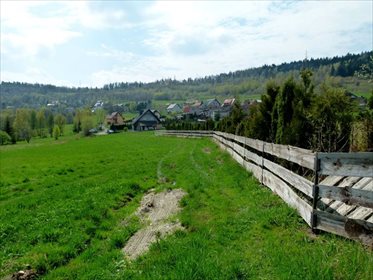 Działka inwestycyjna na sprzedaż Kozubnik 5 800m2 Foto 7