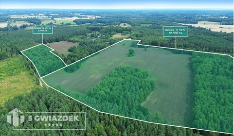 działka na sprzedaż 220067m2 działka Dąbrowica