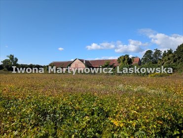 działka na sprzedaż 3688m2 działka Ścinawa