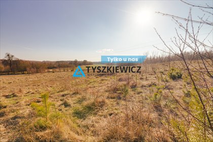 działka na sprzedaż 1165m2 działka Szczodrowo, Główna