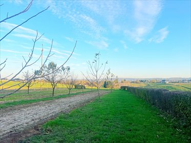 dom na sprzedaż 110m2 dom Mogielnica