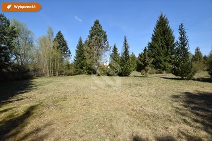 działka na sprzedaż 3149m2 działka Nowy Dwór