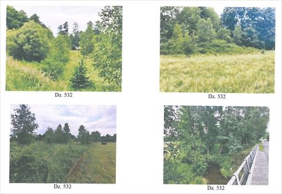 Działka rolna na sprzedaż Papiernia 41 900m2 Foto 5