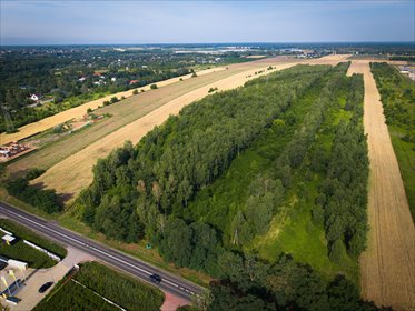 Działka inwestycyjna na sprzedaż – Dąbrówka Wielka działka Dąbrówka Wielka, Dąbrowska