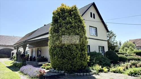 Dom 300 m² z dużą działką 30 arów (z możliwością adaptacji) dom Zwanowice