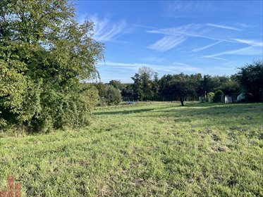 Zapraszam do zakupu działki 800 m² z pozwoleniem na budowę działka Przybysławice