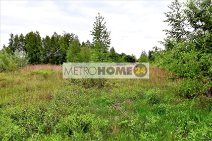 działka na sprzedaż 3000m2 działka Kierszek