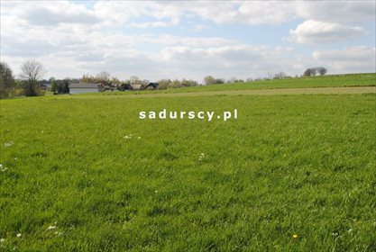 Działka rolna na sprzedaż Ściborzyce 34 334m2 Foto 4