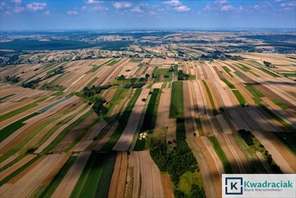 działka na sprzedaż 9400m2 działka Łężyny
