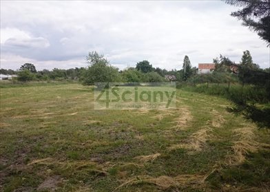 działka na sprzedaż 6155m2 działka Grodzisk Mazowiecki