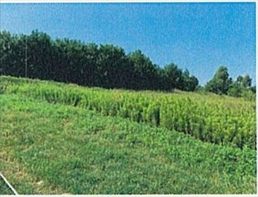 działka na sprzedaż 5600m2 działka Grabno